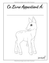 100 Bébés Animaux – Livre de coloriage pour adultes: 100 dessins mignons (forêt, mer, ferme, jungle) – grand format 21,59 x 27,94 cm