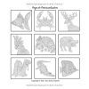 Coloriage Animaux Mandalas – Livre de coloriage adulte anti-stress, 100 illustrations (chiens, chats, lions, hiboux, chevaux, poissons), grand format 21,59 cm