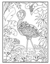 Livre de coloriage Mandalas animaux – 50 illustrations à colorier dès 10 ans, pour enfants et débutants