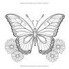 Papillons #2 – Livre de coloriage pour seniors, adultes et débutants : grands dessins anti-stress faciles à colorier