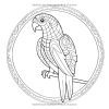 Mandala Animaux – Livre de coloriage anti-stress avec 50 motifs relaxants pour stimuler créativité et coordination