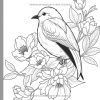 Oiseaux et Fleurs – Livre de Coloriage pour Adultes | 50 Dessins Anti‑Stress pour Relaxation et Pleine Conscience