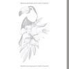 Oiseaux et Fleurs – Livre de Coloriage pour Adultes | 50 Dessins Anti‑Stress pour Relaxation et Pleine Conscience