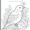 Oiseaux et Fleurs – Livre de Coloriage pour Adultes | 50 Dessins Anti‑Stress pour Relaxation et Pleine Conscience