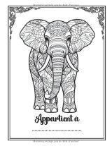 Mandalas Animaux Sauvages – Livre de coloriage relaxant pour adultes, 50 dessins anti-stress de lions, tigres, loups, éléphants et plus