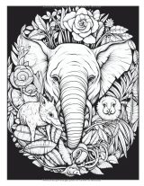 Mandalas Animaux Sauvages – Livre de coloriage relaxant pour adultes, 50 dessins anti-stress de lions, tigres, loups, éléphants et plus