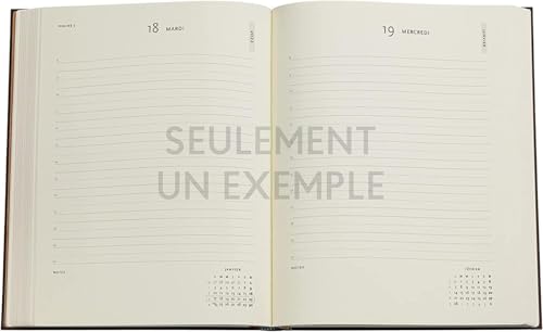 Lot Agenda Souple Français Paperb Civil 2026 - 1 Jour Par Page Ultra + Index Adhésif Blumie (Fiametta)