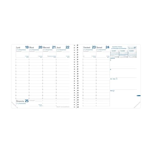 Agenda Exécutif S 2026 Quo Vadis Daisy Herbier - Semainier Planning Français 13 mois - 16x16cm
