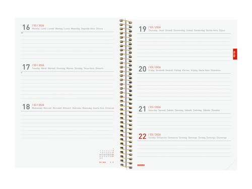Agenda Finocam 18 Mois 2025-2026 - Présentation Horizontale Semaine sur 2 Pages, Daisy International
