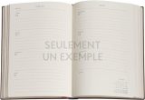 Agenda Civil 2026 Paperb Midi Vertical Souple 1 Semaine sur 2 Pages - Oiseau Céleste