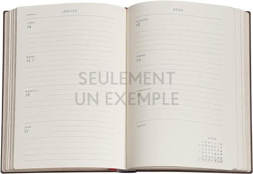 Agenda Civil 2026 Paperb Midi Vertical Souple 1 Semaine sur 2 Pages - Oiseau Céleste