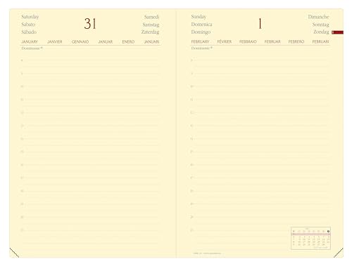 Agenda Quo Vadis 2026 Daily 21 - Journalier Multilingue Silk Noir 13x21 cm - Papier Clairefontaine Ivoire