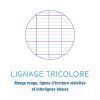 Lot de 10 Cahiers Agrafés Clairefontaine 17x22 48 Pages Grands Carreaux