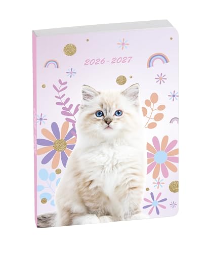 Agenda Forum Animaux Chat Blanc 2025-2026 : Journalier 12x17cm, Visuel Chat Adorable