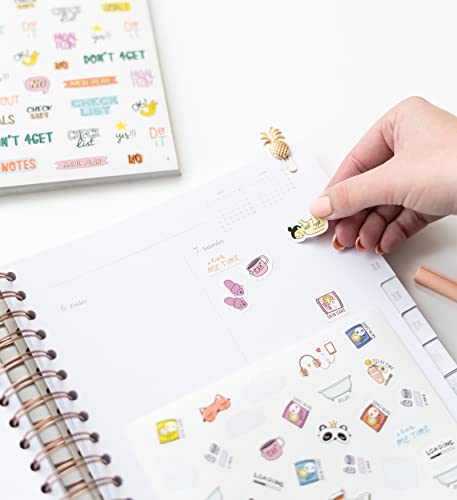 Carnet de Stickers Organisation - Bullet Journal, Agenda & Notebook | Accessoire Papeterie Multicolore