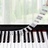 Guide Amovible de Notes de Piano en Silicone pour Claviers 88/61 Touches - Apprentissage Facile pour Débutants