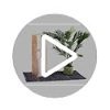 Relaxdays Porte-Papier Toilette en Bois de Noyer - Montage Mural ou sur Pieds - Rangement pour Rouleaux de Rechange - Style Naturel