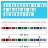 Guide Amovible de Notes de Piano en Silicone pour Claviers 88/61 Touches - Apprentissage Facile pour Débutants