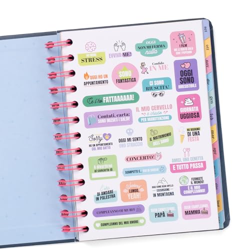 Agenda Scolaire Mr.Wonderful Wonder Petit 2025-2026 : Projets, Illusions et Bonnes Vibrations