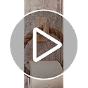 Dérouleur Porte Papier Toilette Corde et Bois - Design Artisanal Français