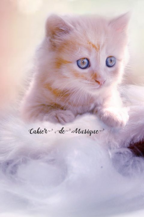 Cahier de Musique 15x23cm avec Portées, Clés et Altérations - Couverture Chat Mignon