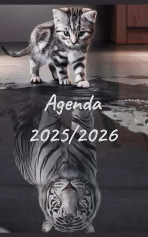 AGENDA 2025/2026 : Planificateur scolaire journalier, emploi du temps, calendrier, une page par jour