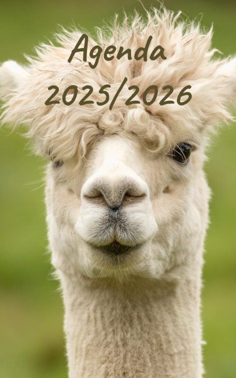 AGENDA 2025/2026 : Planificateur Scolaire Journalier, Emploi du Temps, Calendrier - Une Page par Jour