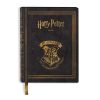Agenda Scolaire Harry Potter 2025-2026 - 10 Mois Non Daté, Couverture Rigide, Format 14,2 x 20 cm, Idéal Enfants & Collégiens
