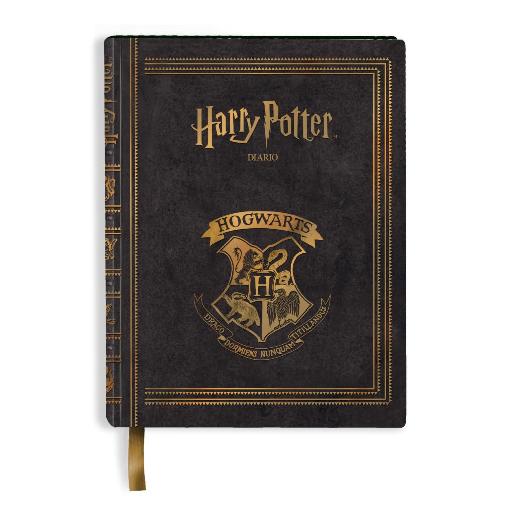 Agenda Scolaire Harry Potter 2025-2026 - 10 Mois Non Daté, Couverture Rigide, Format 14,2 x 20 cm, Idéal Enfants & Collégiens