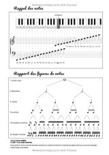 Cahier de musique A4 avec portées et grands carreaux Seyès – 108 pages dont 52 pages de 12 portées – Couverture animaux