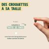 Franklin Croquettes Senior Dinde Sans Céréales Mono-protéine pour Chien 2.5kg
