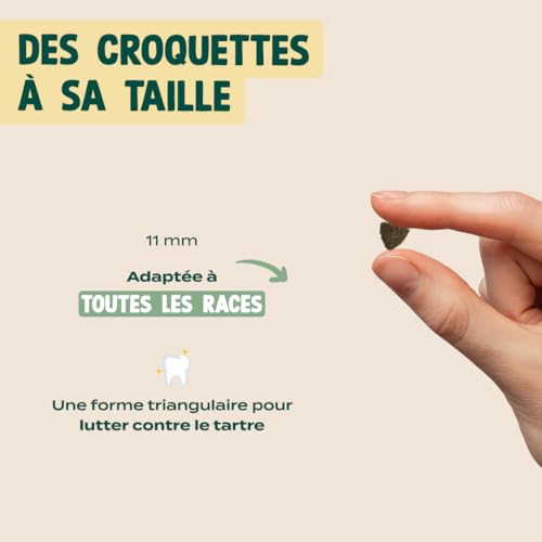 Franklin Croquettes Senior Dinde Sans Céréales Mono-protéine pour Chien 2.5kg