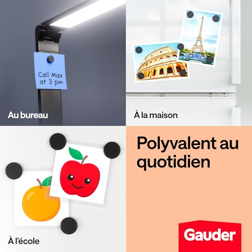 GAUDER Aimants Puissants pour Tableau Blanc et Réfrigérateur - Disques Magnétiques Noirs (100 pièces, 12 x 5 mm)
