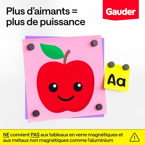 GAUDER Aimants Puissants pour Tableau Blanc et Réfrigérateur - Disques Magnétiques Noirs (100 pièces, 12 x 5 mm)