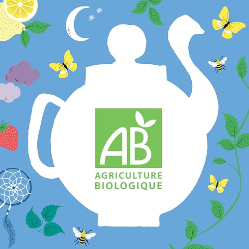 CLIPPER Coffret Découverte Infusion Bio - 60 Sachets Variés - Saveurs Naturelles et Éthiques
