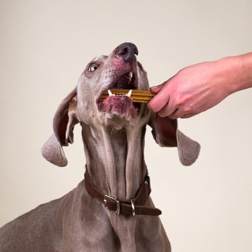 FRANKLIN Stick Dentaire Chien Saveur Beurre de Cacahuètes - Hygiène Bucco-Dentaire, Anti-tartre, Tout Age, 250g