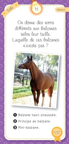 Quiz du Cheval et du Poney : Jeu éducatif et ludique pour passionnés dès 7 ans
