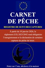 Carnet de Pêche : Registre de Suivi des Captures pour 100 Sorties - Notes sur Lieux, Météo, Espèces et Conditions