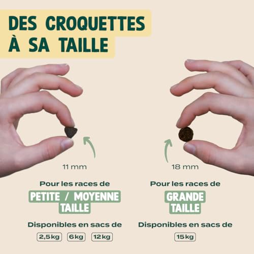 Franklin Croquettes Protéinées pour Chien au Saumon - 70% Poisson, Sans Céréales, Peau & Pelage - 6 kg