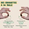 Franklin Croquettes Chien Stérilisé Protéiné Poulet Mono-protéine Sans Céréales 6kg