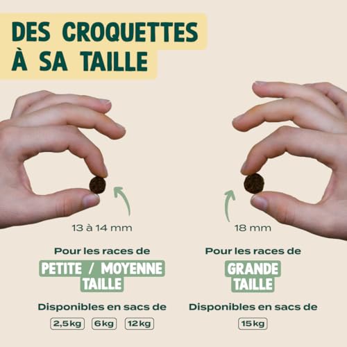 Franklin Croquettes Chien Stérilisé Protéiné Poulet Mono-protéine Sans Céréales 6kg