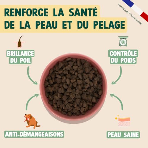 Franklin Croquettes Protéinées pour Chien au Saumon - 70% Poisson, Sans Céréales, Peau & Pelage - 6 kg