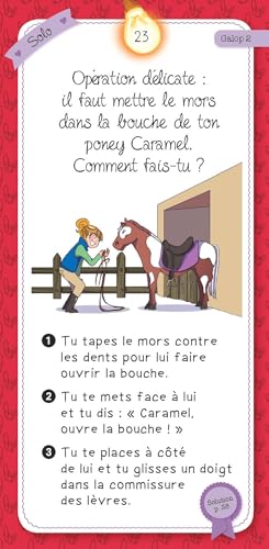 Quiz du Cheval et du Poney : Jeu éducatif et ludique pour passionnés dès 7 ans