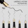 Wordsworth & Black Coffret Cadeau Stylo Plume Argenté Or : Calligraphie et Écriture de Luxe