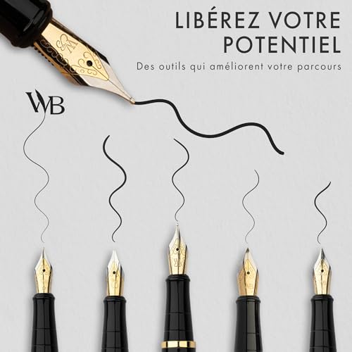 Wordsworth & Black Coffret Cadeau Stylo Plume Argenté Or : Calligraphie et Écriture de Luxe