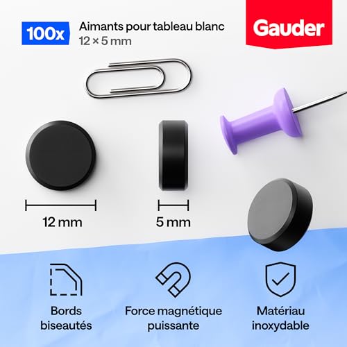 GAUDER Aimants Puissants pour Tableau Blanc et Réfrigérateur - Disques Magnétiques Noirs (100 pièces, 12 x 5 mm)