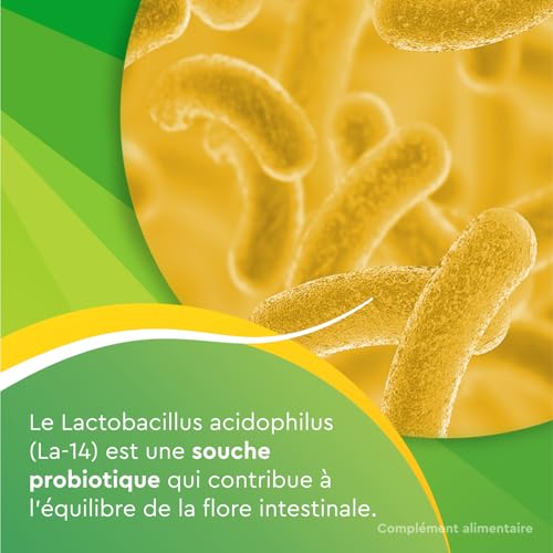 Euphytose Digestion & Anti Stress - Complément Alimentaire Double Action pour Adultes - 56 Gélules
