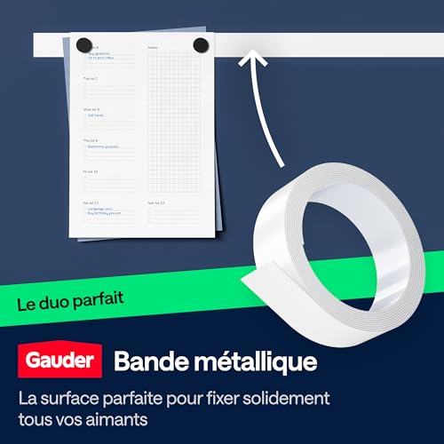 GAUDER Aimants Puissants pour Tableau Blanc et Réfrigérateur - Disques Magnétiques Noirs 18 x 5 mm (62 pièces)