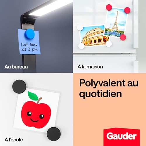 GAUDER Aimants Puissants Frigo et Tableau Blanc Magnétique - Lot de 12 pièces Multicolores (31 x 10 mm)