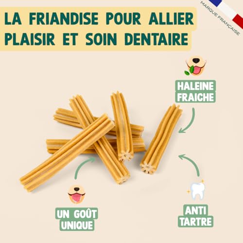 FRANKLIN Stick Dentaire Chien Saveur Beurre de Cacahuètes - Hygiène Bucco-Dentaire, Anti-tartre, Tout Age, 250g